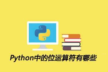Python中的位运算符是什么