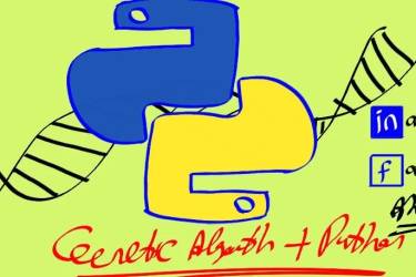 Github标星3w+，热榜第一，如何用Python实现所有算法