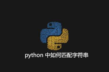 如何在python中匹配字符串