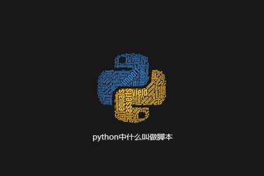 python中的脚本是什么