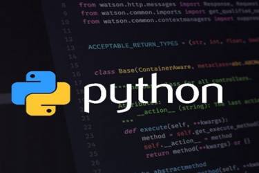 python的函数结果是什么