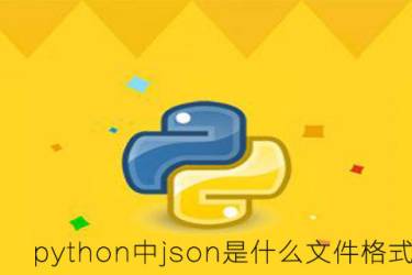 python中json的文件格式是什么