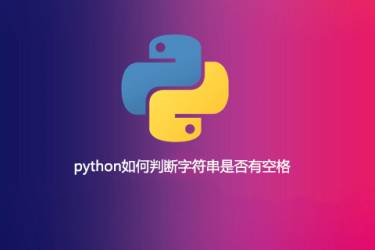 如何在python中检查字符串是否有空格